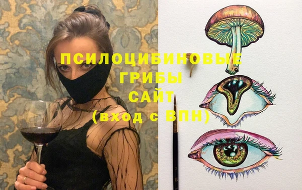 мдпв Слюдянка