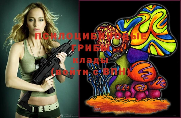 мдпв Слюдянка