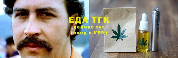 СК Снежногорск
