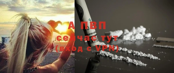 СК Снежногорск