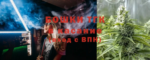 СК Снежногорск