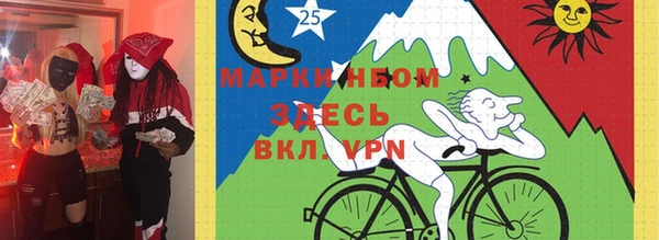 СК Снежногорск