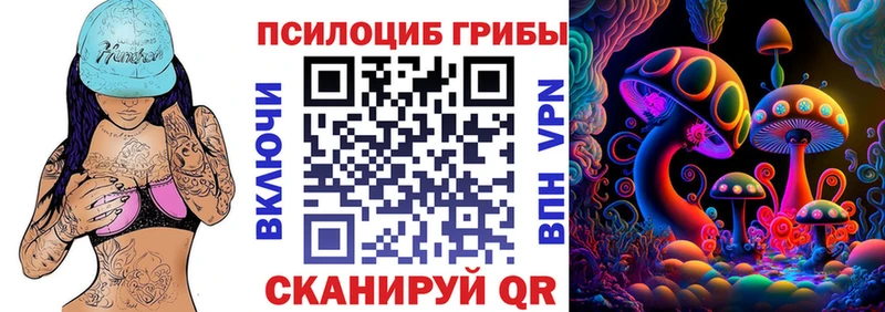 Купить где  Партизанск  Псилоцибиновые грибы ЛСД 